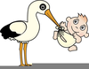 Storch Clipart Kostenlos Image