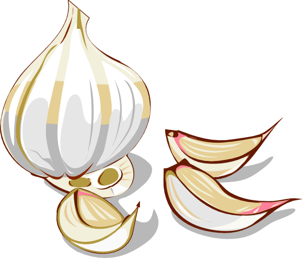 Garlic Clip Art at Clker com vector clip art online 