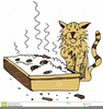 Cat Litter Box Clipart Image