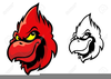 Free Cardinal Clipart Image