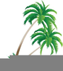 Clipart And Palm Tree Image