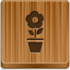 Pot Flower Icon Image