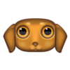 Dachshund 256 Image