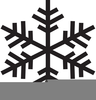 Snowflake Icon Vector Image