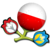 Euro 2012 Poland 256 Image