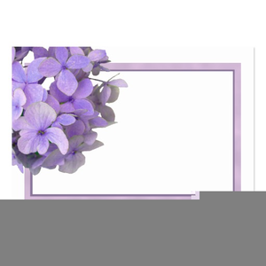 Blank Purple Cards Image