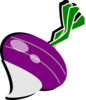 Turnip Clip Art