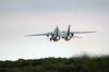 An F-14b  Tomcat  Assigned To The Fighter Squadron One Zero Three (vf-103)  Jolly Rogers  Takes Off From The Runway At The Croatian Air Force Base Near Pula, Croatia. Image