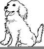 St Bernard Running Clipart Image