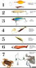 Redfish Fishing Rigs Image