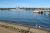 The Amphibious Assault Ship Uss Peleliu (lha 5) Transits San Diego Bay As She Returns From A Deployment In Support Of Operation Iraqi Freedom (oif). Image