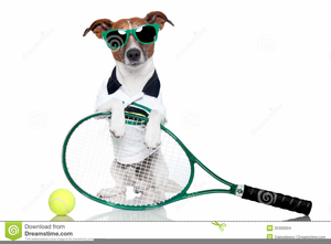 Puppy Dog Beach Ball Clipart Image