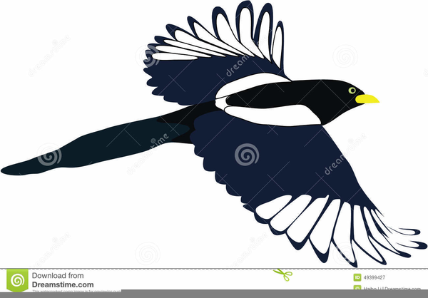 Magpie Clipart Free Images At Vector Clip Art Online