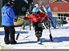Disabled Skier Clipart Image