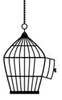 Cage Image