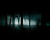 Dark Forest Image