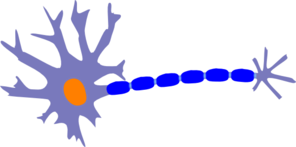 Healthy Neuron-blue Clip Art
