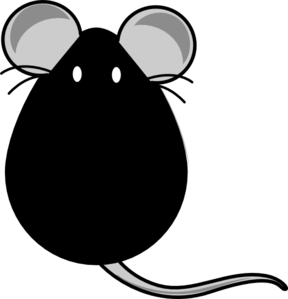 B6 Mouse Peritoneal Clip Art