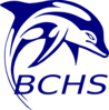 Bchs Dolphin Clip Art