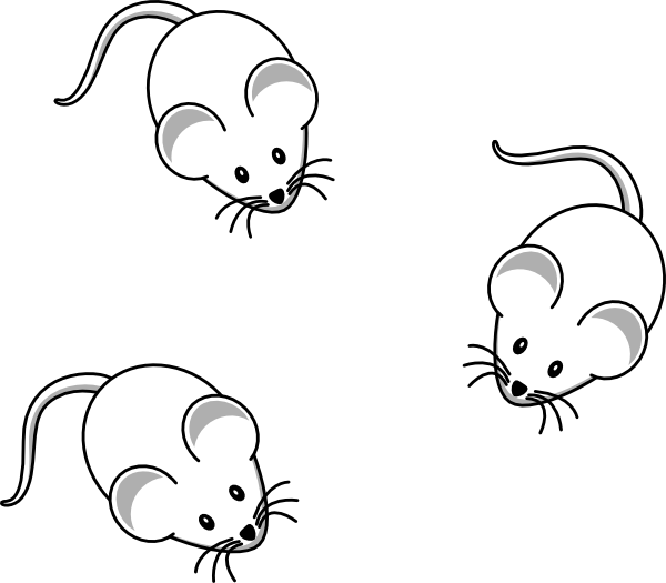 funny rat clipart - photo #48