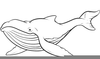 Blue Whale Outline Image