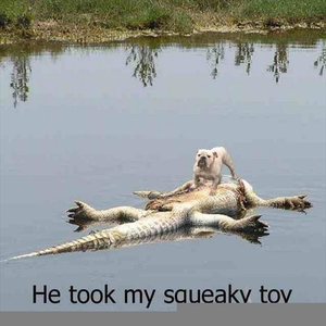 Alligator Cat Costume Image