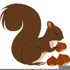 Squirrel Gathering Nuts Clipart Image