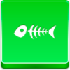 Fish Skeleton Icon Image