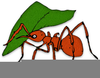 Free Ant Clipart Borders Image