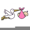 Clipart Stork Delivering Baby Image