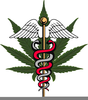 Free Medical Marijuana Clipart Image