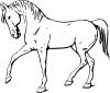 Walking Horse Outline Clip Art