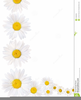 Free Daisy Clipart Borders Image