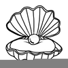 Oyster Clipart Free Image