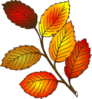 Autumn Leaf Clip Art