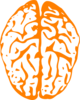 Orange Brain Clip Art