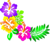 Hibiscus Tres Con Hojas Clip Art