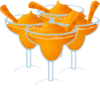 Carrot Margarita Clip Art