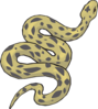 Snake Clip Art