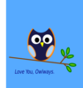 Love You, Owlways Clip Art