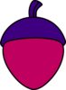 Fuchsia Acorn With Purple Cap Clip Art