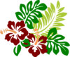 Hibiscus Clip Art