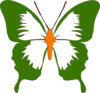 Butterfly Green Clip Art