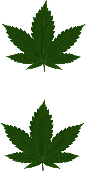 Cannabis Leaves For Pasties Clip Art at Clker.com - vector clip art