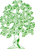 Green Tree  Clip Art