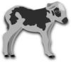 Calf Clip Art