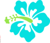 Aqua Hibiscus Clip Art