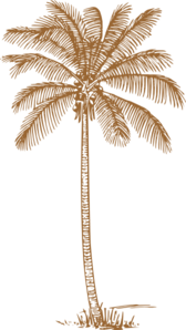 Brown Palm Tree For Wedding Invitation Clip Art