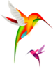 Colibri Clip Art