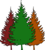 Triple Tree Clip Art